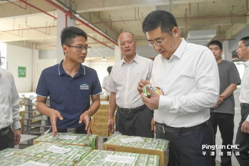实验区领导深入一线调研物流产业重点项目