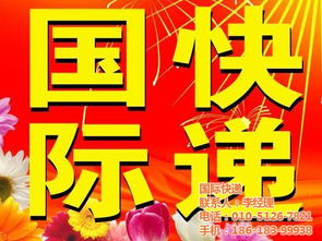 北京海淀区化工类国际快递与进口代理物流选择指南